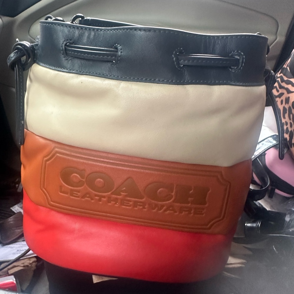 Coach Multicolor Leather Bucket Bag